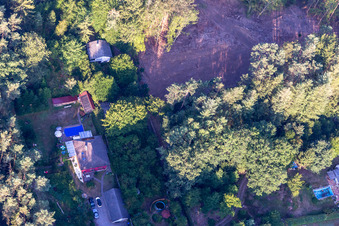 Am Saufelsen in Ludwigswinkel im Bundesland Rheinland-Pfalz, Deutschland von oben gesehen