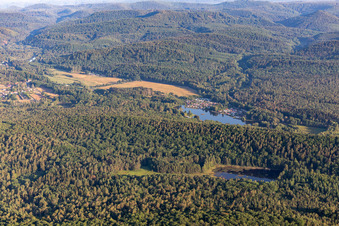 Pfälzerwoog und Campingplatz Zwickmühle am Mühlweiher Saarbach in Fischbach bei Dahn im Bundesland Rheinland-Pfalz, Deutschland