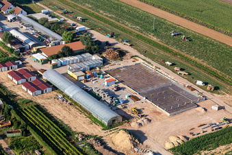 Luftbild von Kugelmann Biogemüse Neubau der Produktionshalle in Kandel im Bundesland Rheinland-Pfalz, Deutschland