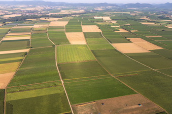 Windparkplanungsgebiet Billigheim in Billigheim-Ingenheim im Bundesland Rheinland-Pfalz, Deutschland