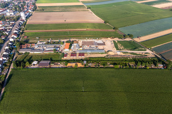 Kugelmann Biogemüse Neubau der Produktionshalle in Kandel im Bundesland Rheinland-Pfalz, Deutschland von oben
