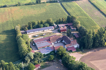 Drohnenaufname von Kandel im Bundesland Rheinland-Pfalz, Deutschland