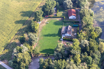 Verein für Hundesport e.V in Leimersheim im Bundesland Rheinland-Pfalz, Deutschland