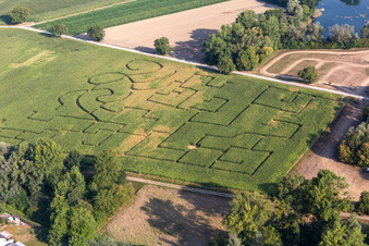 Maislabyrinth in Leimersheim im Bundesland Rheinland-Pfalz, Deutschland