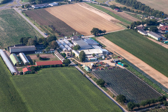 Zapf Hofmarkt in Hatzenbühl im Bundesland Rheinland-Pfalz, Deutschland