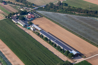 Hollerbühler Hof in Kandel im Bundesland Rheinland-Pfalz, Deutschland