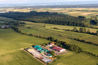 Wagnerhof in Steinweiler im Bundesland Rheinland-Pfalz, Deutschland