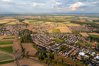 Luftbild von Ortsansicht am Rande von landwirtschaftlichen Feldern und Nutzflächen in Rheinzabern im Bundesland Rheinland-Pfalz, Deutschland
