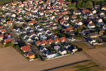 Ortsteil Hardtwald in Neupotz im Bundesland Rheinland-Pfalz, Deutschland von der Drohne aus gesehen