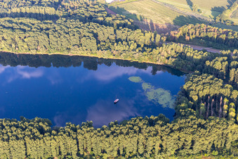 Bein Insel Rott am Rhein im Ortsteil Hochstetten in Linkenheim-Hochstetten im Bundesland Baden-Württemberg, Deutschland