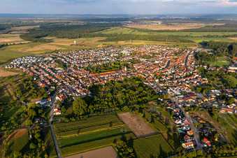 Luftaufnahme von Liedolsheim von Westen in Dettenheim im Bundesland Baden-Württemberg, Deutschland