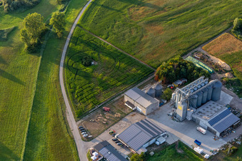 Irrgarten - Maislabyrinth bei Hofcafee Onkel Oskar der Bolz Landhandel GmbH auf einem Feld in Dettenheim im Ortsteil Rußheim im Bundesland Baden-Württemberg, Deutschland