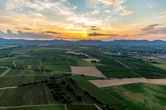 Sonnenuntergang am Haardtrand im Ortsteil Ingenheim in Billigheim-Ingenheim im Bundesland Rheinland-Pfalz, Deutschland