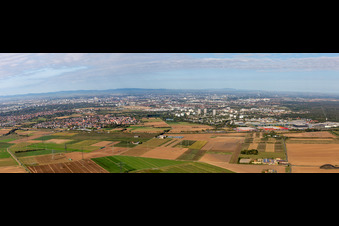 Wallstadt und Feudenheim von Ost in Mannheim im Bundesland Baden-Württemberg, Deutschland