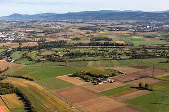 Gelände des Golfplatz Heddesheim Gut Neuzenhof in Viernheim im Bundesland Baden-Württemberg, Deutschland