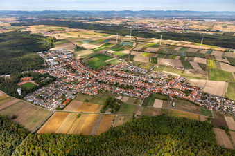 Luftbild von Ortsansicht am Rande von landwirtschaftlichen Feldern und Nutzflächen in Hatzenbühl im Bundesland Rheinland-Pfalz, Deutschland