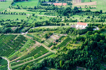 Kirchengebäude der Kapelle Wurmlinger Kapelle - St. Remigius Kapelle im Ortsteil Rottenburg am Neckar in Tübingen im Bundesland Baden-Württemberg, Deutschland von oben