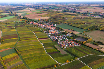 Luftaufnahme von Dorf - Ansicht am Rande von landwirtschaftlichen Feldern und Nutzflächen in Niederhorbach im Bundesland Rheinland-Pfalz, Deutschland