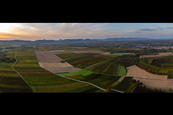Panorama Herbstluftbild Klingbachtal zwischen herbstlich bunten Feldern vor dem Haardtrand bei Sonnenuntergang in Billigheim-Ingenheim in Niederhorbach im Bundesland Rheinland-Pfalz, Deutschland