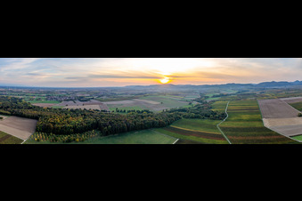 Panorama Herbstluftbild Bewaldetes Horbachtal zwischen herbstlich bunten Feldern vor dem Haardtrand bei Sonnenuntergang in Billigheim-Ingenheim in Niederhorbach im Bundesland Rheinland-Pfalz, Deutschland