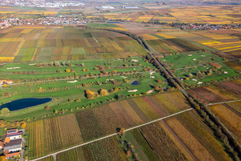 Golfgarten Deutsche Weinstraße in Dackenheim im Bundesland Rheinland-Pfalz, Deutschland
