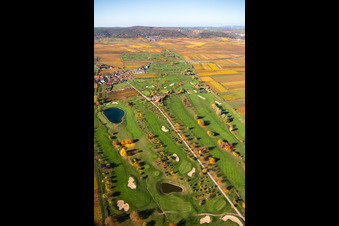 Schrägluftbild von Gelände des Golfplatz Golfgarten Deutsche Weinstraße - Dackenheim - GOLF absolute in Dackenheim im Bundesland Rheinland-Pfalz, Deutschland
