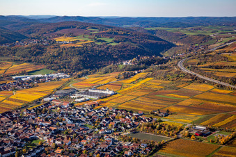 Herbstliche verfärbte Vegetationsansicht Ortskern am Rande von Weinbergen und Winzer- Gütern im Weinbaugebiet in Sausenheim in Grünstadt im Bundesland Rheinland-Pfalz, Deutschland