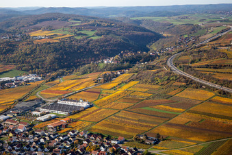 Luftbild von Herbstliche verfärbte Weinberge zwischen Sausenheim und Neuleiningen im Bundesland Rheinland-Pfalz, Deutschland