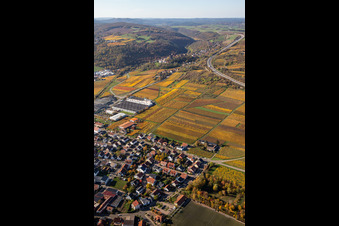 Schrägluftbild von Herbstliche verfärbte Weinberge zwischen Sausenheim und Neuleiningen im Bundesland Rheinland-Pfalz, Deutschland