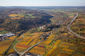 Herbstliche verfärbte Vegetationsansicht Ortskern am Rande von Weinbergen und Winzer- Gütern im Weinbaugebiet in Neuleiningen im Bundesland Rheinland-Pfalz, Deutschland