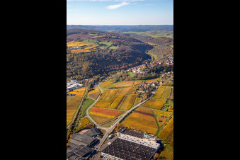 Neuleiningen im Bundesland Rheinland-Pfalz, Deutschland vom Flugzeug aus