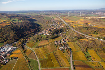 Luftaufnahme von Herbstliche verfärbte Vegetationsansicht Ortskern am Rande von Weinbergen und Winzer- Gütern im Weinbaugebiet in Neuleiningen im Bundesland Rheinland-Pfalz, Deutschland