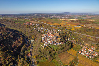 Herbstliche verfärbte Vegetationsansicht Ortskern am Rande von Weinbergen und Winzer- Gütern im Weinbaugebiet in Neuleiningen im Bundesland Rheinland-Pfalz, Deutschland von oben