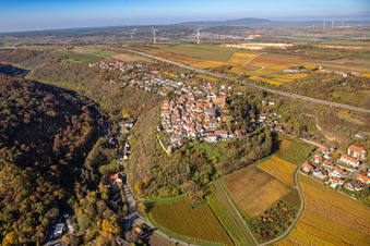 Herbstliche Weinberge um Burg und Ort Neuleiningen/Pfal im Bundesland Rheinland-Pfalz, Deutschland