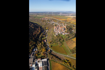 Luftbild von Burg Neulingen in Neuleiningen im Bundesland Rheinland-Pfalz, Deutschland