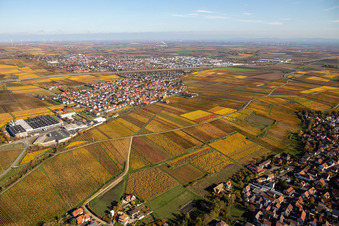 Dorf - Ansicht im Ortsteil Sausenheim in Grünstadt im Bundesland Rheinland-Pfalz, Deutschland