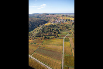 Herbstliche verfärbte Vegetationsansicht Felder einer Weinbergs- Landschaft der Winzer- Gebiete in Battenberg (Pfalz) im Bundesland Rheinland-Pfalz, Deutschland