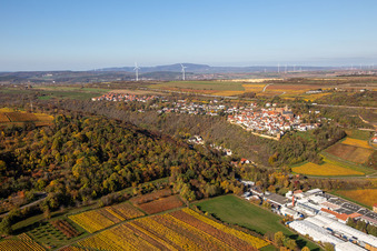 Luftbild von Herbstliche verfärbte von Weinberge oberhalb der Produktionshallen der Gechem GmbH & Co. KG in Neuleiningen im Bundesland Rheinland-Pfalz, Deutschland