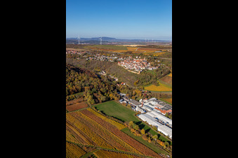 Luftaufnahme von Herbstliche verfärbte von Weinberge oberhalb der Produktionshallen der Gechem GmbH & Co. KG in Neuleiningen im Bundesland Rheinland-Pfalz, Deutschland