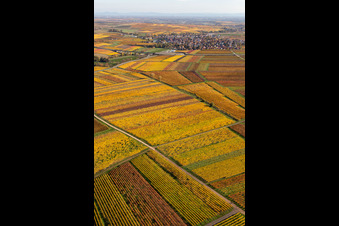 Ortsteil Jerusalemsberg in Kirchheim an der Weinstraße im Bundesland Rheinland-Pfalz, Deutschland aus der Luft