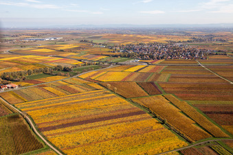 Ortsteil Jerusalemsberg in Kirchheim an der Weinstraße im Bundesland Rheinland-Pfalz, Deutschland von oben gesehen