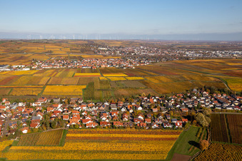 Herbstliche verfärbte Weinberge zwischen Kleinkarlbach und Sausenheim im Bundesland Rheinland-Pfalz, Deutschland