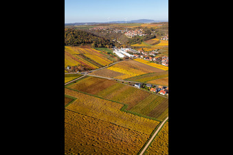 Drohnenbild von Kleinkarlbach im Bundesland Rheinland-Pfalz, Deutschland