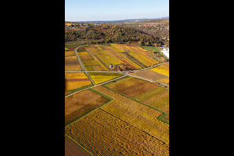 Kleinkarlbach im Bundesland Rheinland-Pfalz, Deutschland aus der Drohnenperspektive