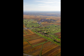Gelände des Golfplatz Golfgarten Deutsche Weinstraße - Dackenheim - GOLF absolute in Dackenheim im Bundesland Rheinland-Pfalz, Deutschland von oben gesehen