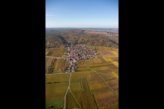 Herbstliche verfärbte Weinberge in der Rheinebene am Rand der Haardt in Bobenheim am Berg im Bundesland Rheinland-Pfalz, Deutschland