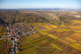 Luftbild von Bobenheim am Berg im Bundesland Rheinland-Pfalz, Deutschland