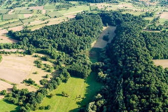 Drohnenaufname von Naturschutzgebiet Kettelbachtal im Ortsteil Obernhausen in Birkenfeld im Bundesland Baden-Württemberg, Deutschland