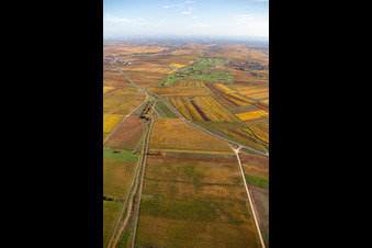 Golfgarten Deutsche Weinstraße in Dackenheim im Bundesland Rheinland-Pfalz, Deutschland aus der Luft