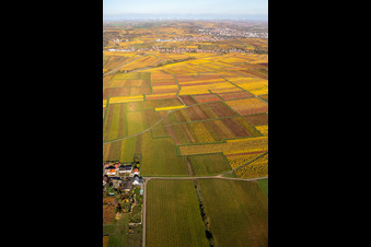 Luftbild von Kleinkarlbach im Bundesland Rheinland-Pfalz, Deutschland